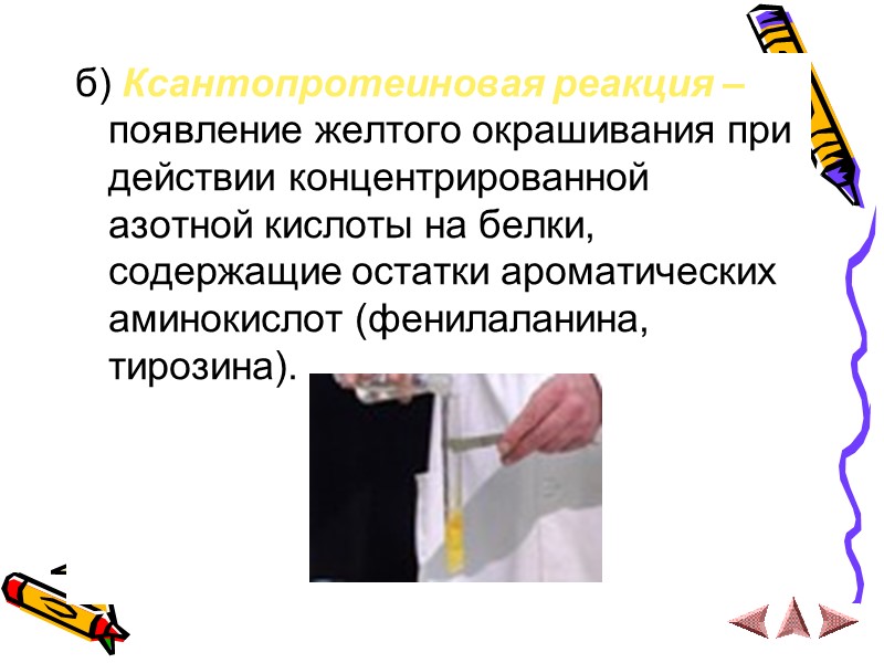 б) Ксантопротеиновая реакция – появление желтого окрашивания при действии концентрированной азотной кислоты на белки,